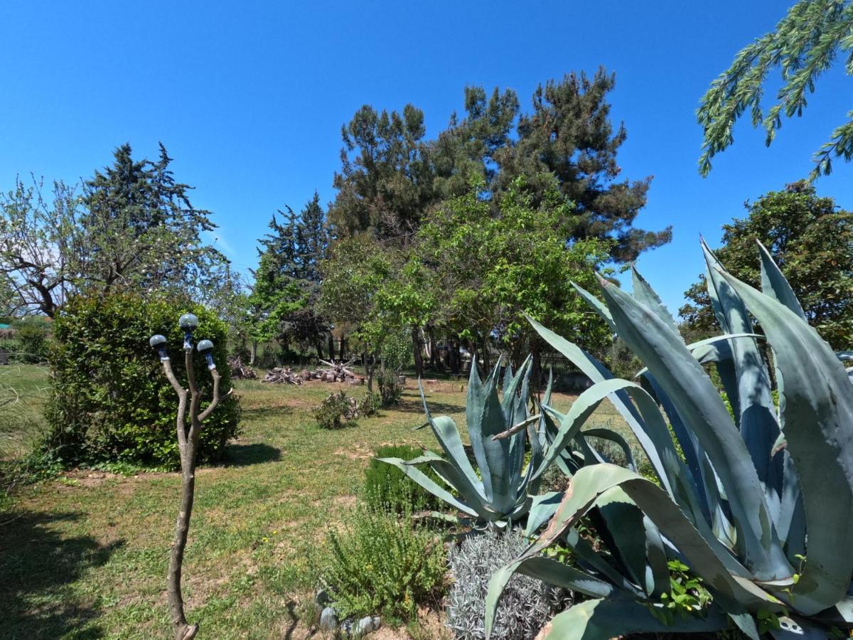 Pond And Pines, By Nice House By The Sea! Epanomí Buitenkant foto