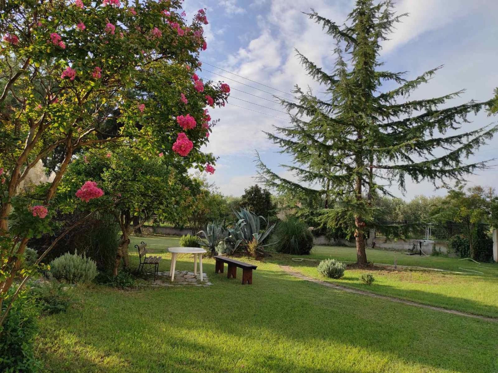 Pond And Pines, By Nice House By The Sea! Epanomí Buitenkant foto