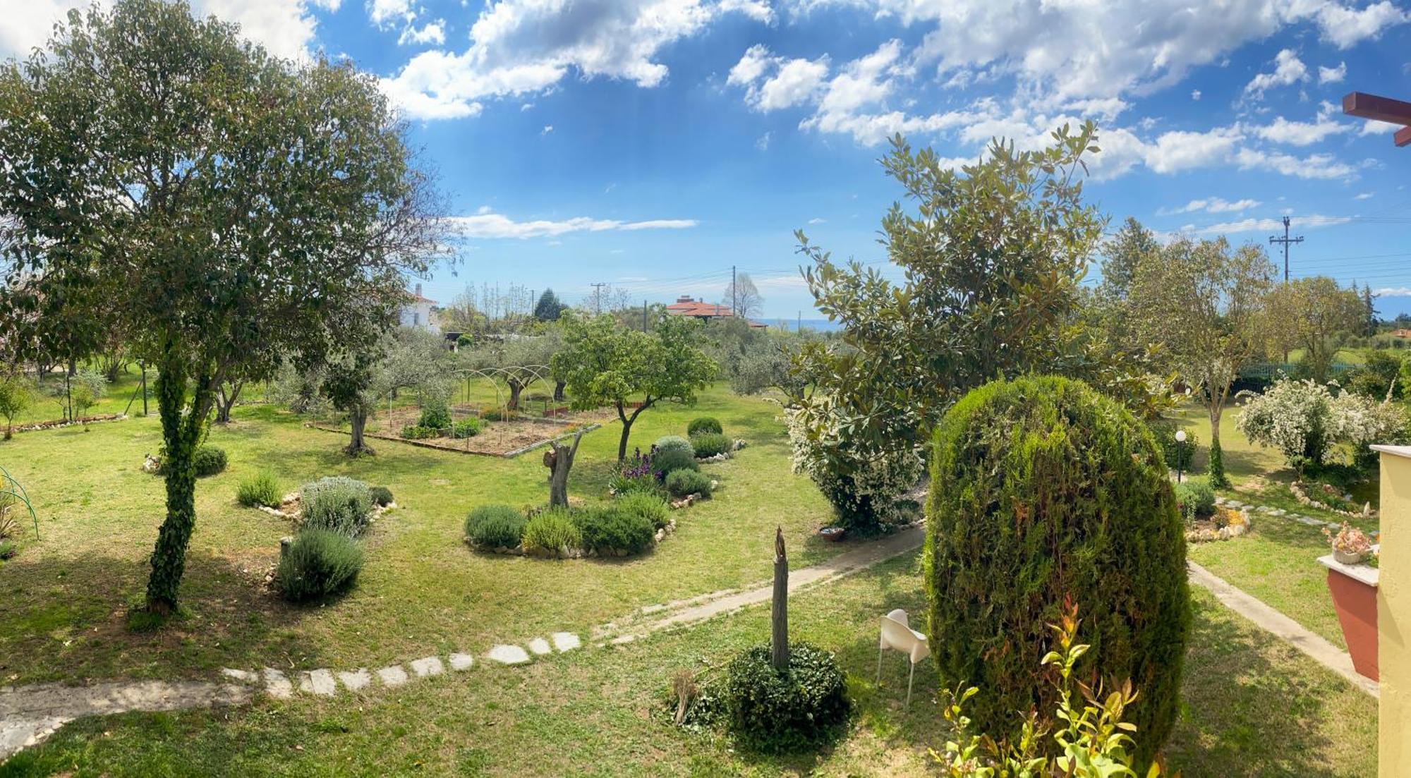 Pond And Pines, By Nice House By The Sea! Epanomí Buitenkant foto